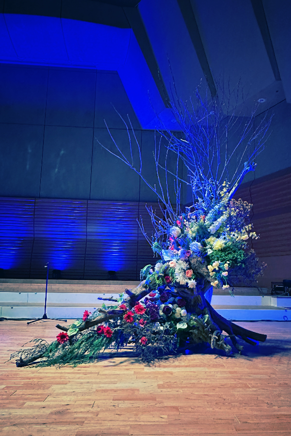 音と光、そして植物が交差する舞台に。|バイオリンコンサート/モネの樹