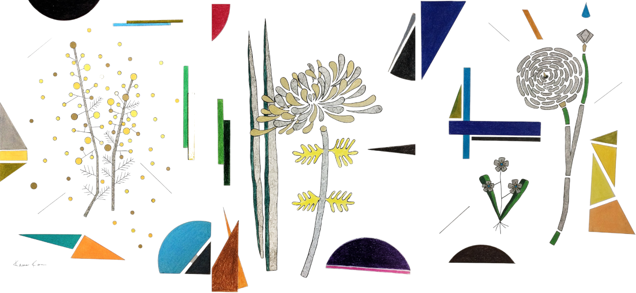 KAZUO KONNO作品シリーズ/metaphor flos  ― かたちの向こうに咲くもの ―