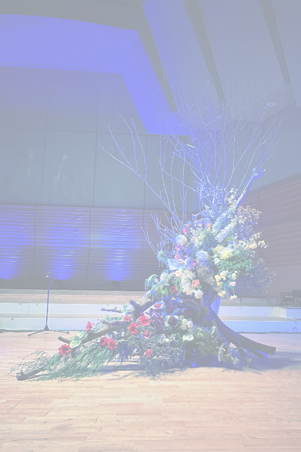 音と光、そして植物が交差する舞台に。|バイオリンコンサート/モネの樹